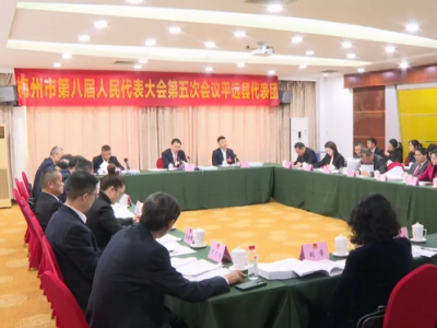 梅州市第八届人民代表大会第五次会议平远县代表团审议市政府工作报告