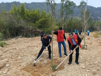 丰顺县黄金镇人大代表：筑牢绿色屏障 守护绿水青山