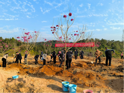 千村增绿先锋行 共绘绿美新图景！梅州市持续开展乡村绿化结对共建活动  