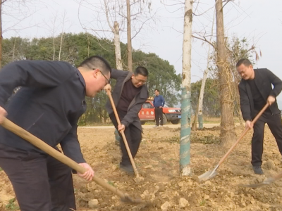 蕉岭县三圳镇：植树添新绿　共建绿美乡村