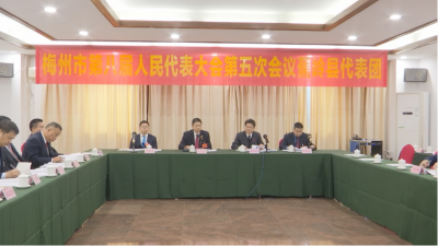 市八届人大五次会议蕉岭代表团审议市政府工作报告 坚定信心谋突破 实干担当谱新篇