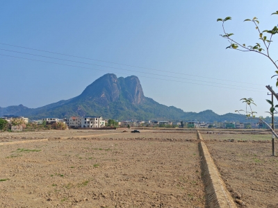 “社村”合作盘活土地资源！平远4村年增收40多万元