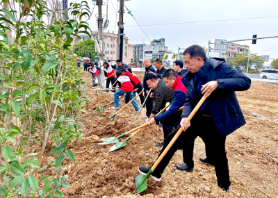 兴宁市宁新街道开展“爱绿植绿护绿兴绿”主题党日植树活动