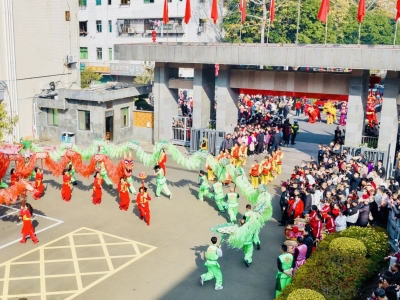 多彩活动庆佳节，文旅融合展新姿！春节期间大埔县活动精彩纷呈旅游市场火热