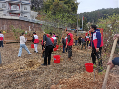春风拂面催新绿，党旗飘扬映初心！中共兴宁市委组织部与新洲村共绘绿美乡村新画卷
