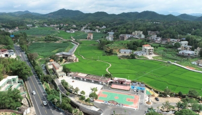 “农” 墨重彩绘新篇！2024年平远农业总产值同比增长6.2%，增速全市第一