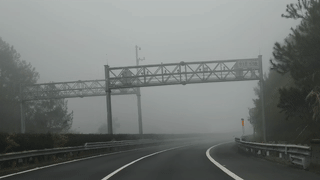 梅州今早大雾弥漫！另外，让广东人破防的三个字要来了