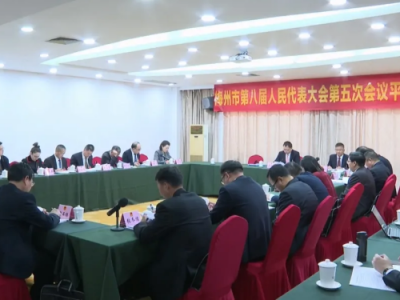 平远县代表团审议市人大常委会工作报告及市“两院”工作报告
