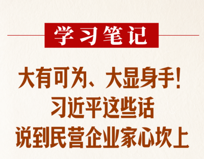 学习笔记丨大有可为、大显身手！习近平这些话说到民营企业家心坎上