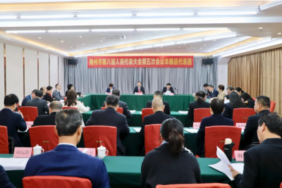 市八届人大五次会议丰顺代表团热议市政府工作报告