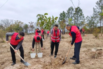 春来到，披绿裳！汕梅高速改扩建项目联合为乡村绿化建设充“植”