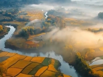 【新思想引领新征程】加快乡村全面振兴 推进中国式现代化