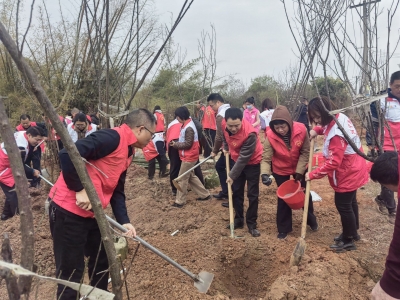 兴宁市新陂镇：人大代表聚“绿”行动 助力“百千万工程”走深走实