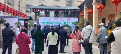 梅江区榕树塘社区举行“农居雅韵”奇石、盆景、雅集活动