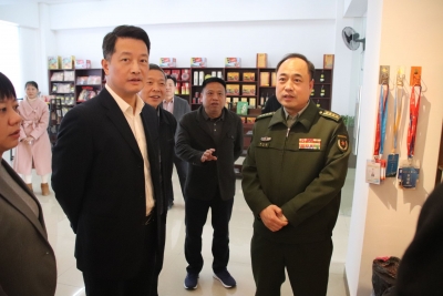 贾文进到大埔县三河镇调研典型村建设情况