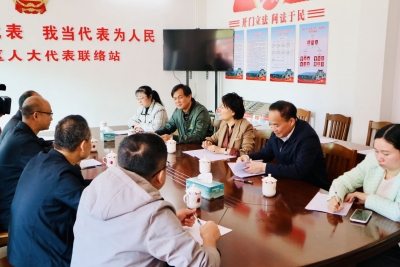 深挖特色资源 推动镇村建设！曾碧玉到大埔调研督导“百千万工程”工作