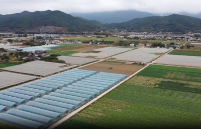 广东梅州：全域土地综合整治促乡村发展