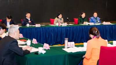 市政协委员分组讨论“两个报告”