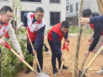 共筑绿美家园！荔湾区驻梅县区丙村镇帮镇扶村工作队参与植树造林活动