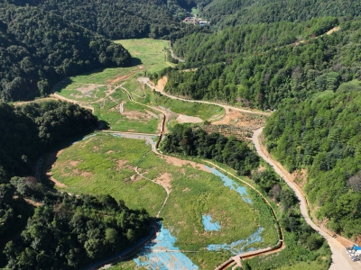 在绿水青山间书写履职答卷——梅州市人大常委会积极发挥职能作用助力绿美生态建设