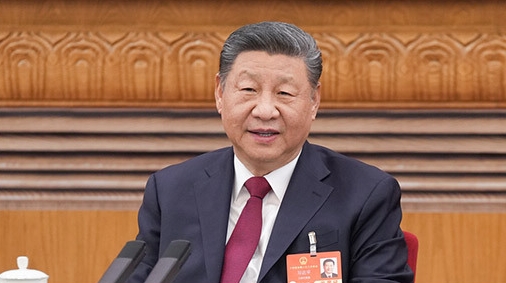 看图学习丨从“顶梁柱”到“弄潮儿” 总书记那些两会“妙喻”