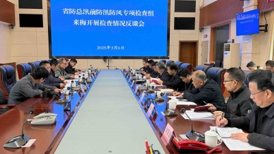 省防总汛前防汛防风专项检查组来梅：全力做好汛前各项准备工作