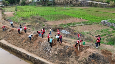平远：党建引领绿美生态建设，擦亮高质量发展生态底色