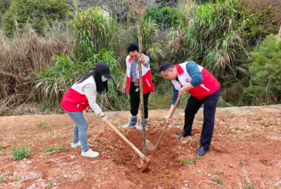 兴宁市委统战部赴径南镇官亭村开展植树活动助力“百千万工程”