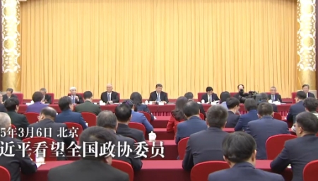 视频丨习近平看望全国政协委员
