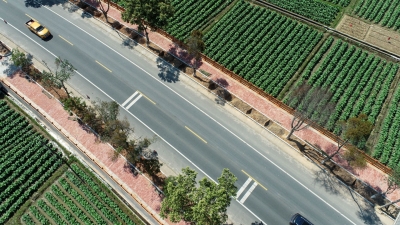 交通惠民“加速度”，平远发展“路路通”！