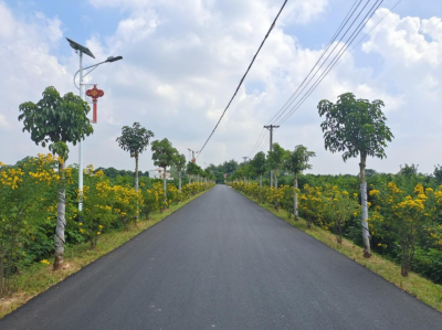 扎实推进乡村绿化助力“绿美广东”建设！兴宁市龙田镇在行动...