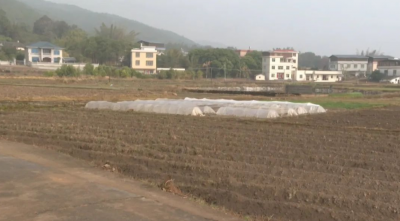 平远县明洋村：小田改大田 实现“地增效、村增富、民增收”
