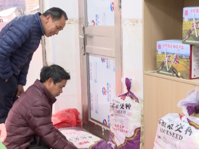 五华县龙村镇湖中村向村民免费发放优质水稻谷种3000斤