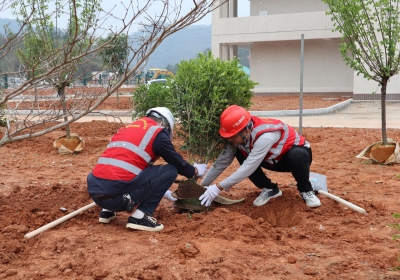 他们，为汕梅高速再添一抹新绿！