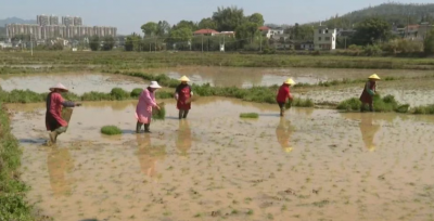 不误农时不负春 平远县春耕春种热潮涌动