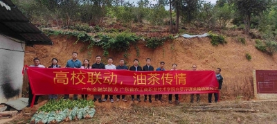 兴宁市罗浮镇开展油茶种植技术培训系列活动