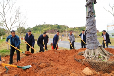 齐心植树春意浓！梅州高新区掀起义务植树热潮