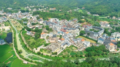 实招助“镇”兴，实干绘新景！平远中行镇多举措推动镇域经济高质量发展