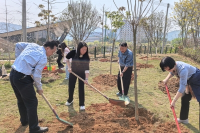 绘就绿美梅州新画卷！市委统战部组织开展“同心林”第二期植树活动