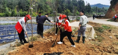 平远社工部联合地方志办开展 “扩绿植绿护绿兴绿”主题党日活动