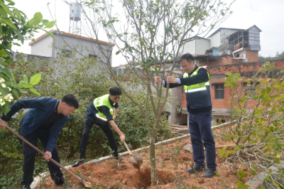 广东省地质局梅州地质调查中心联合驻镇帮镇扶村工作队开展“爱绿植绿护绿兴绿”主题活动