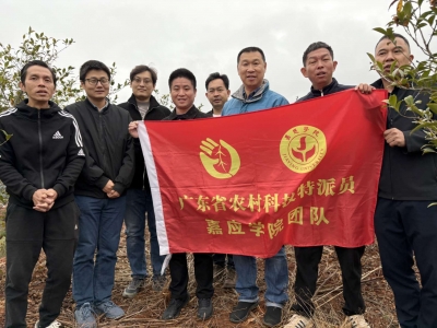 农技专家“田间把脉”，为兴宁黄槐的传统农业发展开出"科技处方"！