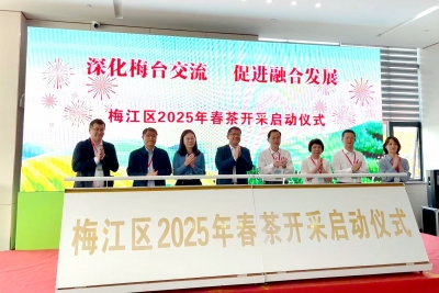 茶香四溢飘两岸！2025年梅台农业交流暨茶产业高质量发展恳谈会举行