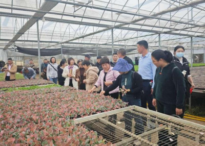 加强人才培训，提升农技能力！平远县举办基层农技人员能力提升培训班