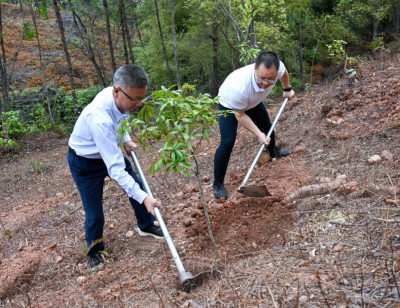 平远县组织参加全省推进绿美广东生态建设义务植树活动：为绿美平远生态建设增绿添彩