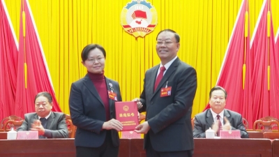 刘蓉蓉当选梅县区政协副主席