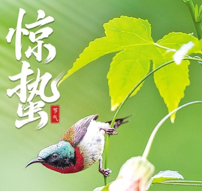 惊蛰至，春雷响，万物长