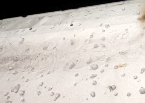 注意防御！丰顺下冰雹了！