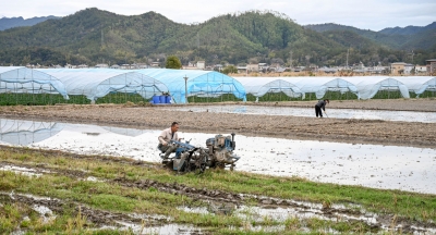 平远奏响春耕备耕“进行曲”