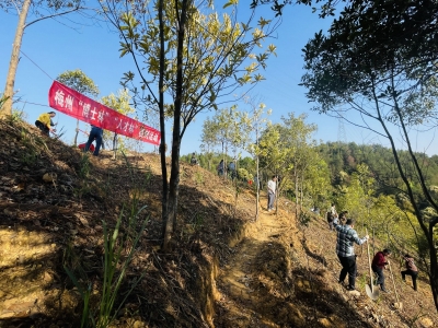 百万英才汇南粤丨梅州市、梅江区人才代表共植“博士林”“人才林”